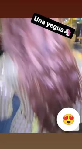 Unicornio