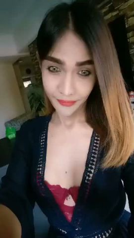 Ts Fasha Donia