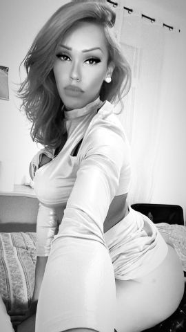 Belle Bruna
