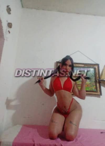 Kathaleya jumbo