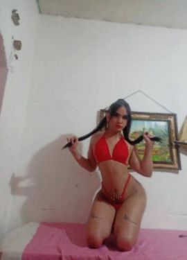 Kathaleya jumbo