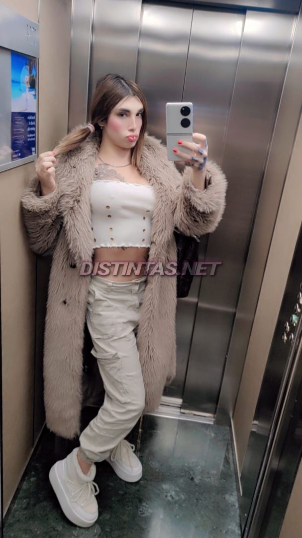 Maddison Montana