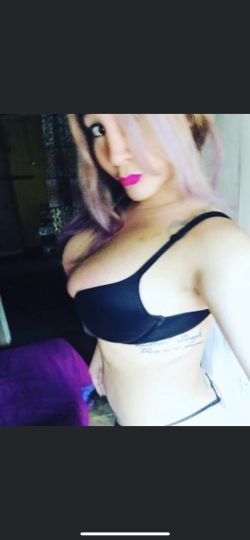 Shellmy
