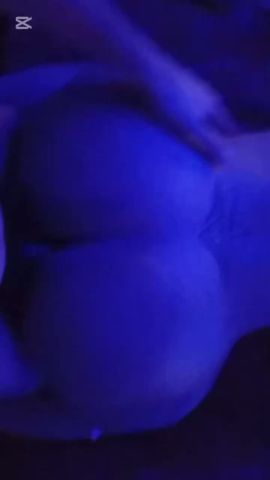 Shellmy