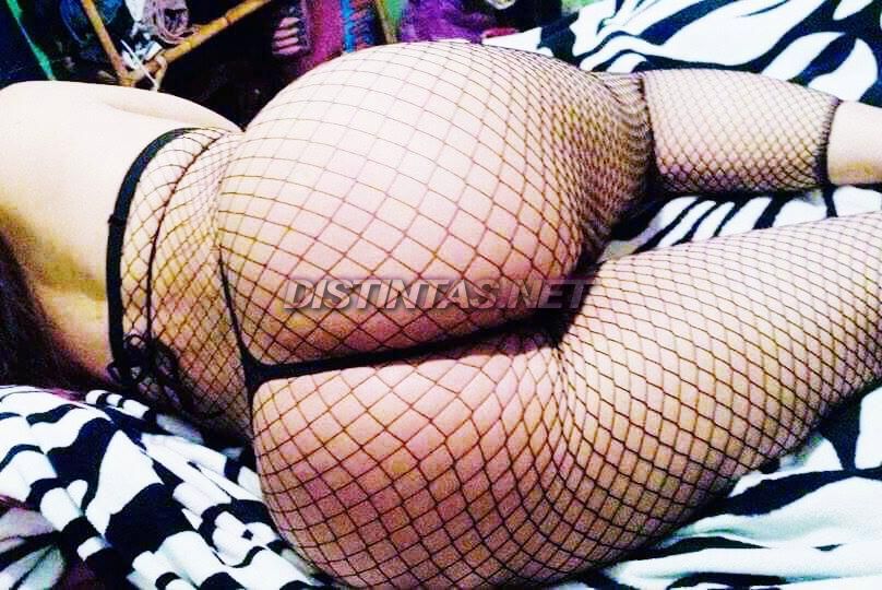 Shellmy