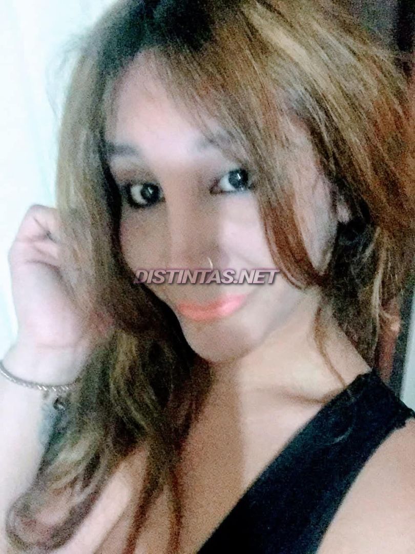 Shellmy
