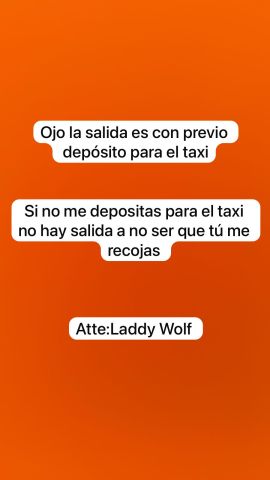 Laddy wolf