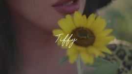 Tiffy