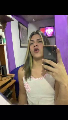 Valeria castillo 