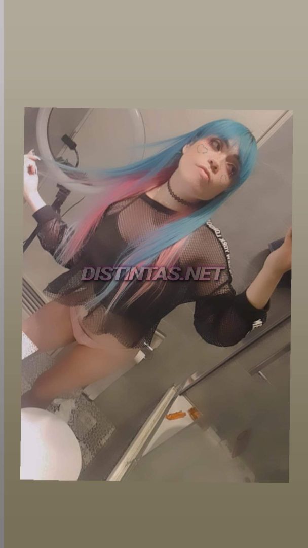 Katte Aurora