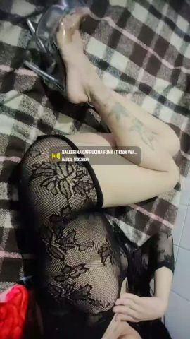 Sacharica