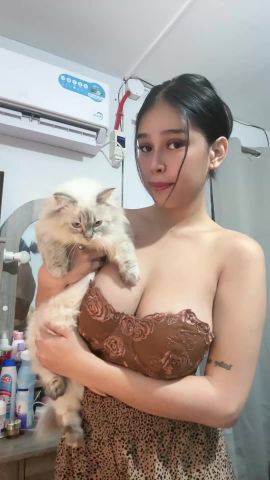 Post op tranny