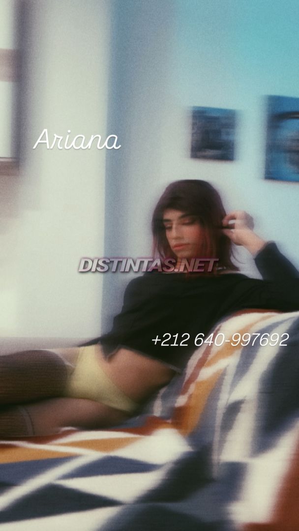 Ariana Moroccan 