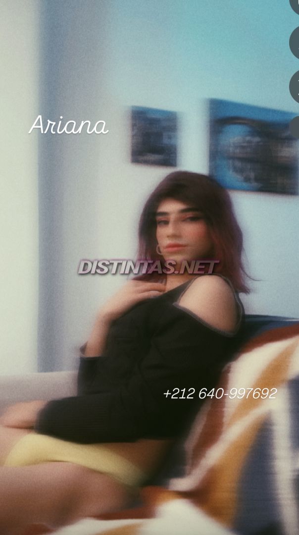 Ariana Moroccan 