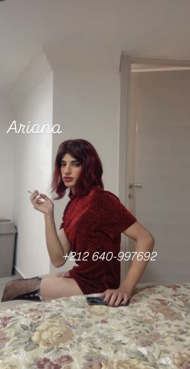 Ariana Moroccan 