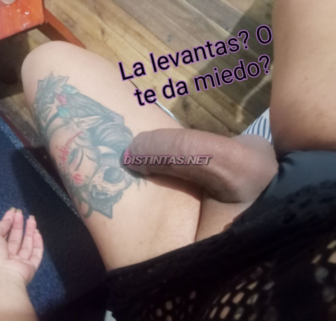 Tifany Montiel