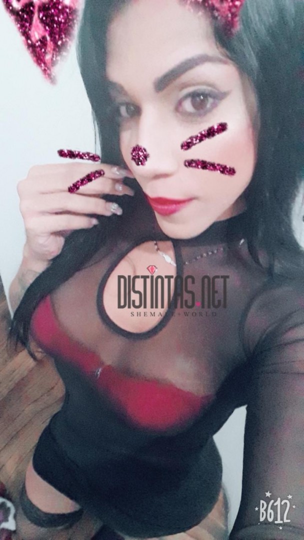 Tifany Montiel