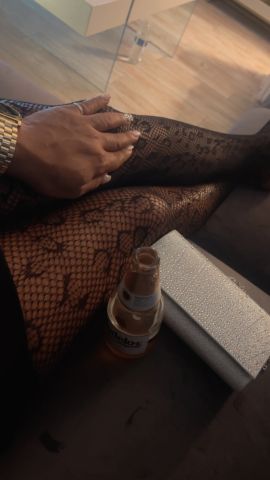 Reina minina