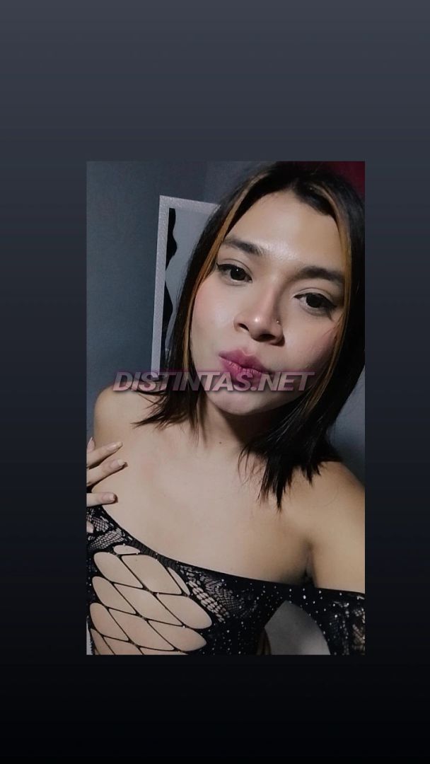 Alexa bb