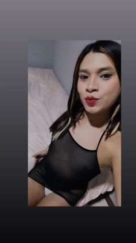Alexa bb