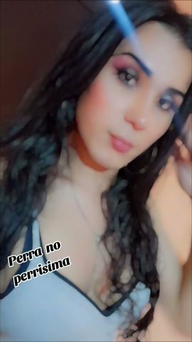 Gala