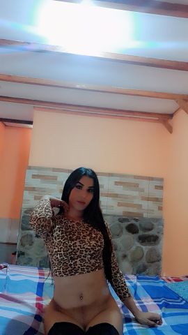 Gala