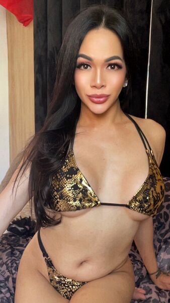 TS Escort Fujiko in Casablanca