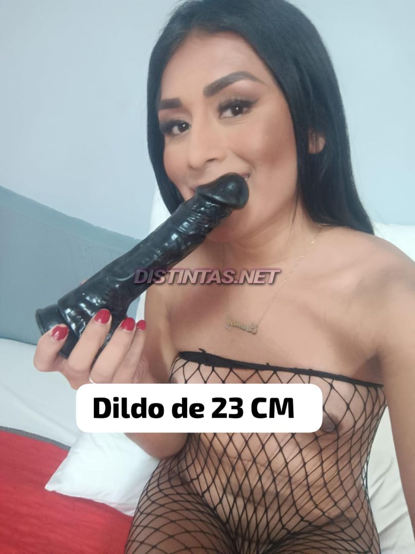 Risaralda Aranda