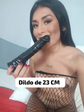 Risaralda Aranda