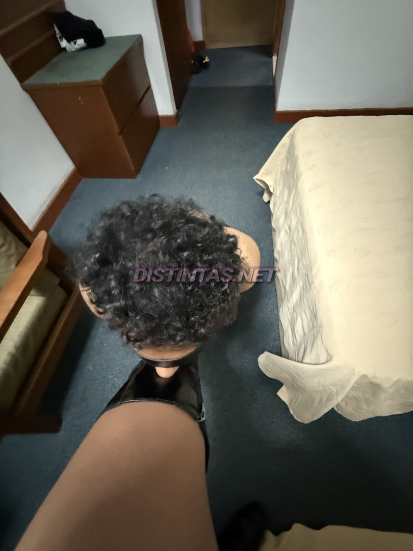 Domina Ravena