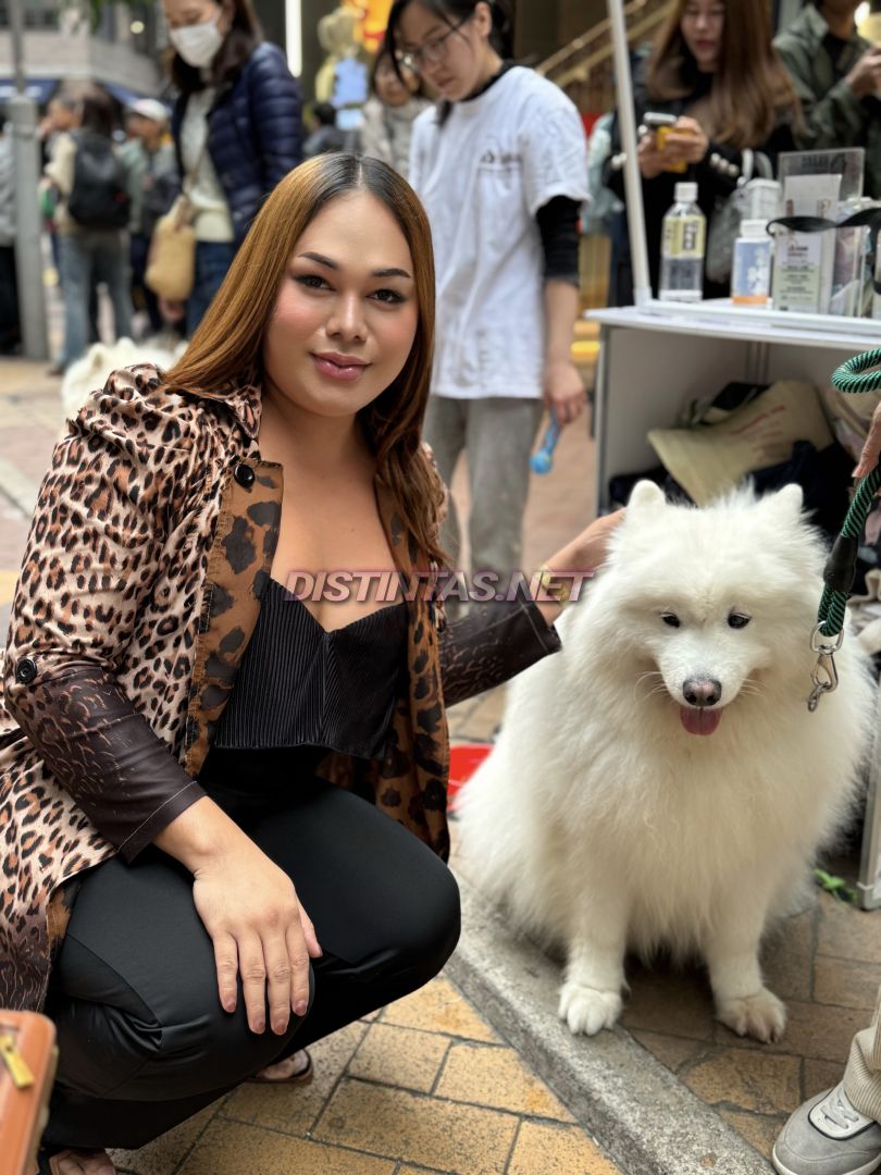 Domina Ravena