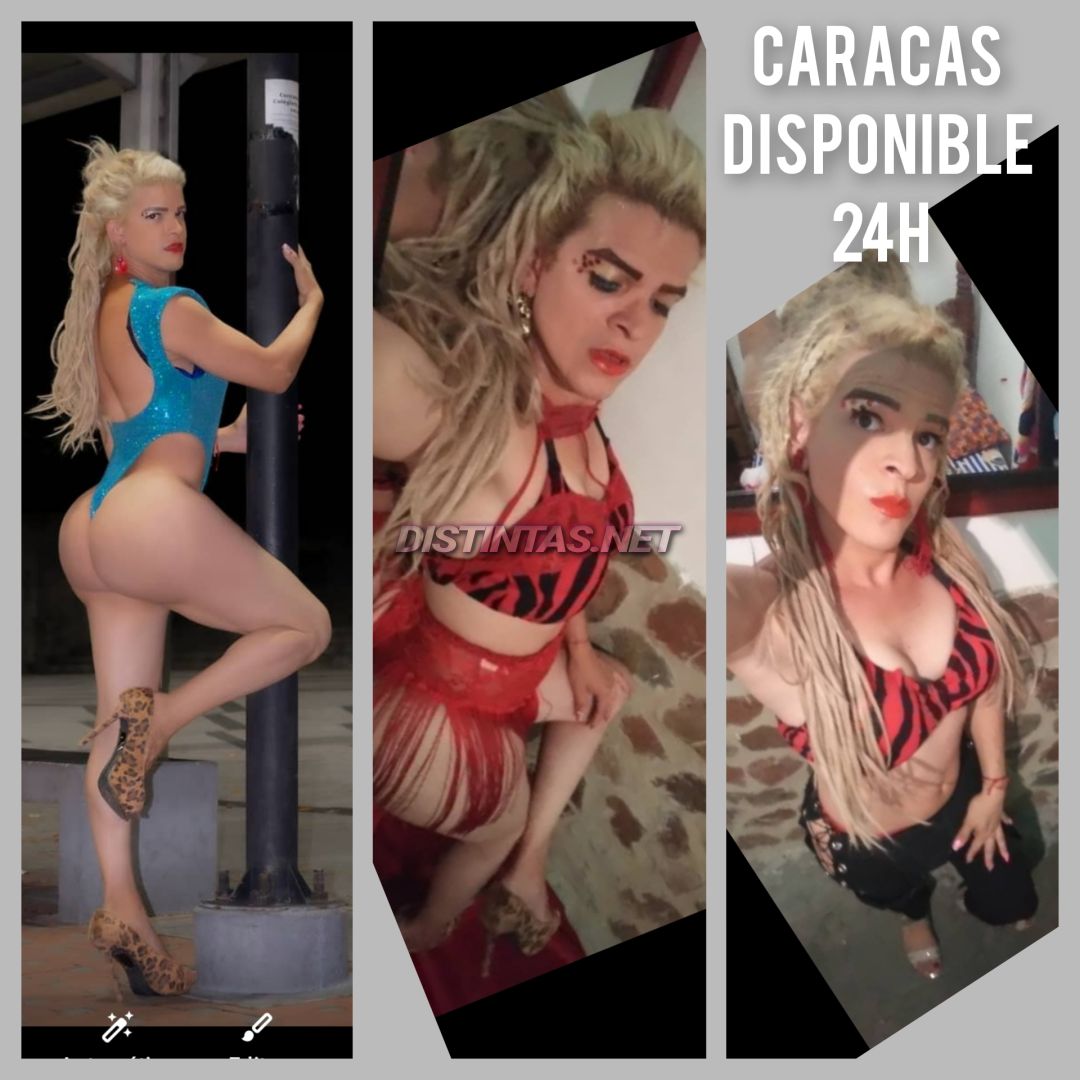 Miranda Palacio