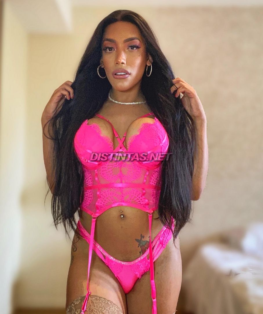 Jessica Bresil Xl