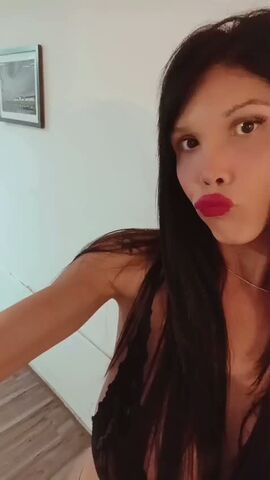 Shofy 