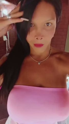 Shofy 