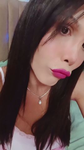 Shofy 