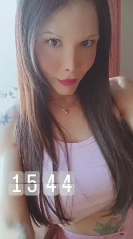 Shofy 