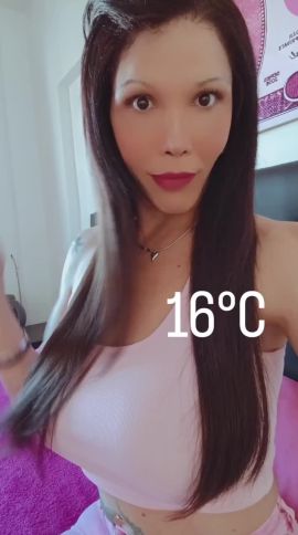Shofy 