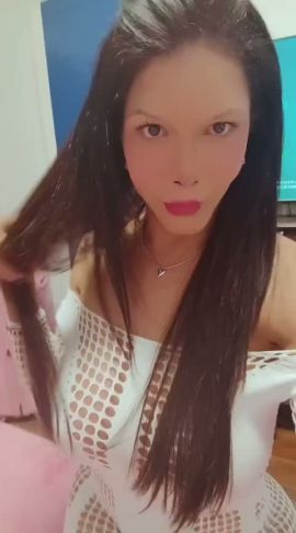 Shofy 