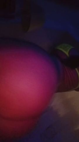 Shofy 
