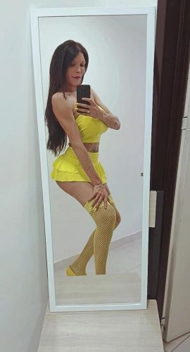 Shofy 