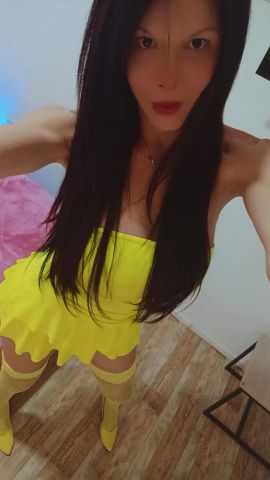 Shofy 