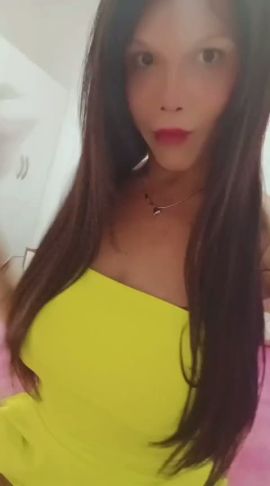 Shofy 