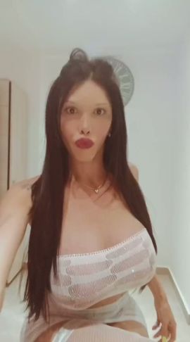 Shofy 