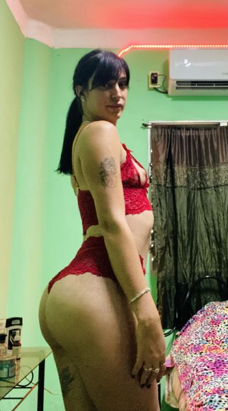 Soy una chica trigueña educada tengo 22 años soy alta tengo muy buen cuerpo satisfago todas tus necesidades sexuales soy muy sexy y si gustas puedo cumplir todas tus fantacias y llevarte a otro nivel 