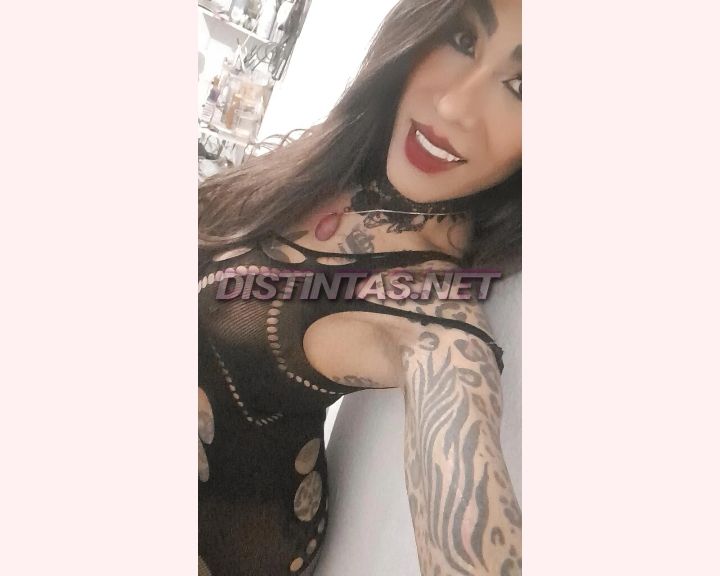 Catalina Arce