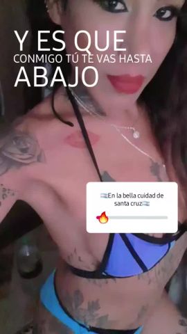 Catalina Arce