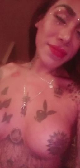 Catalina Arce