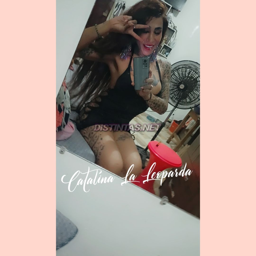 Catalina Arce
