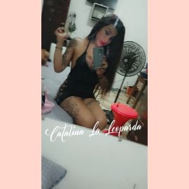 Catalina Arce